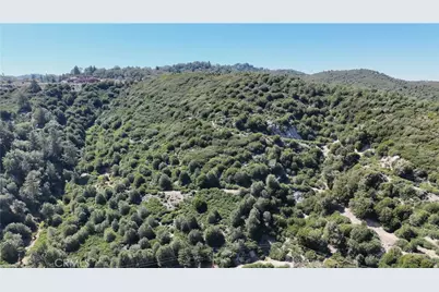 29629 Little Bear Creek Road, Cedar Glen, CA 92321 - Photo 7