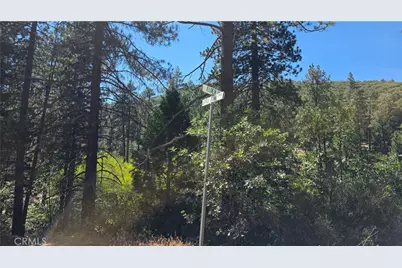 29629 Little Bear Creek Road, Cedar Glen, CA 92321 - Photo 21