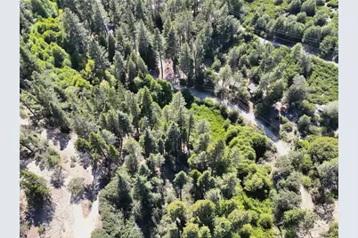 29629 Little Bear Creek Road, Cedar Glen, CA 92321 - Photo 13