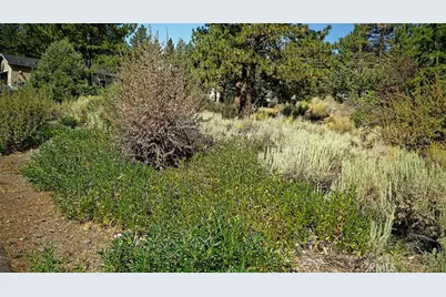 0 Zermatt Drive, Wrightwood, CA 92397 - Photo 15