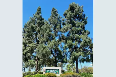 14828 Rayfield Drive, La Mirada, CA 90638 - Photo 55