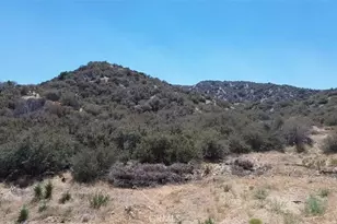 0 Mountain Springs Rd, Wrightwood, CA 92397 - Photo 1