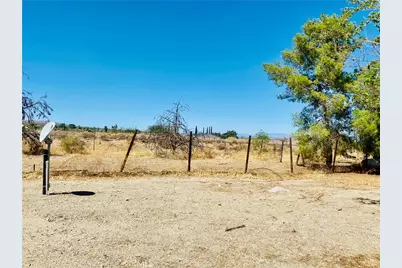 11226 Ponderosa Road, Pinon Hills, CA 92372 - Photo 19