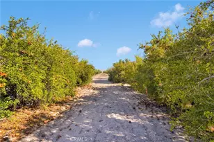 10099 Highland Ave, Lucerne Valley, CA 92356 - Photo 71