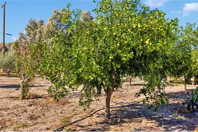 10099 Highland Avenue, Lucerne Valley, CA 92356 - Photo 37
