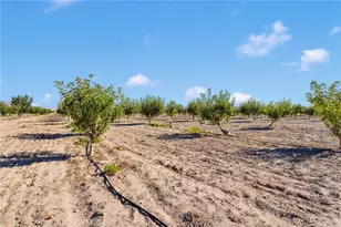 10099 Highland Ave, Lucerne Valley, CA 92356 - Photo 27