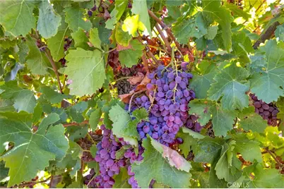 10099 Highland Avenue, Lucerne Valley, CA 92356 - Photo 5