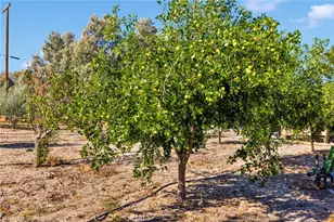 10099 Highland Ave, Lucerne Valley, CA 92356 - Photo 35