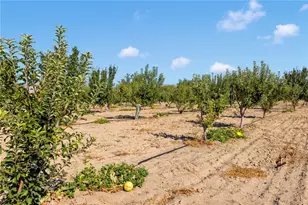 10099 Highland Ave, Lucerne Valley, CA 92356 - Photo 29