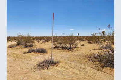 15 Ac Bowman Trail, Joshua Tree, CA 92252 - Photo 5