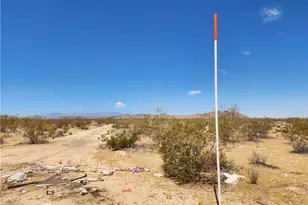 40 Ac Joshua Tree, Joshua Tree, CA 92252 - Photo 1