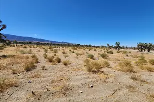 11226 Primavera Rd, Pinon Hills, CA 92372 - Photo 1