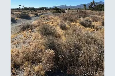 0 Calaveras, Pinon Hills, CA 92372 - Photo 1