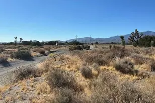 0 Calaveras, Pinon Hills, CA 92372 - Photo 1