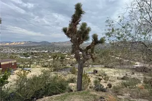 55914 Sunnyslope, Yucca Valley, CA 92284 - Photo 33