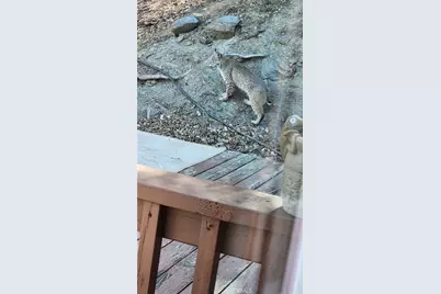 5180 Lone Pine Canyon, Wrightwood, CA 92397 - Photo 53