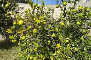 15162 Cambria St, Fontana, CA 92335 - Photo 13