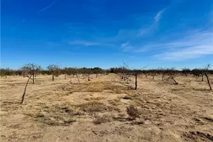 44823 Silver Valley, Newberry Springs, CA 92365 - Photo 67