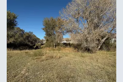 19766 Polish, Oro Grande, CA 92368 - Photo 13