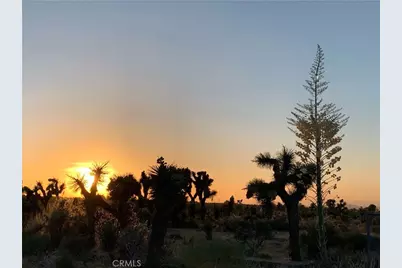 3996 Yucca Terrace, Phelan, CA 92371 - Photo 53