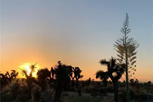 3996 Yucca Terrace, Phelan, CA 92371 - Photo 53