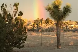 3996 Yucca Terrace, Phelan, CA 92371 - Photo 55