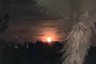 3996 Yucca Terrace, Phelan, CA 92371 - Photo 3