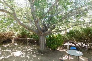 45985 Cottonwood Rd, Newberry Springs, CA 92365 - Photo 55