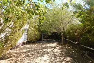 45985 Cottonwood Rd, Newberry Springs, CA 92365 - Photo 47