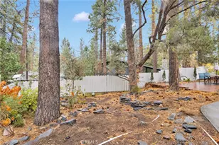 2046 Thrush, Wrightwood, CA 92397 - Photo 45