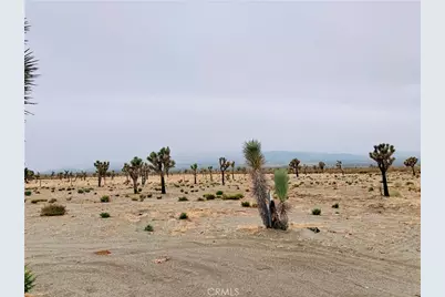 12452 Golden View, Pinon Hills, CA 92372 - Photo 7