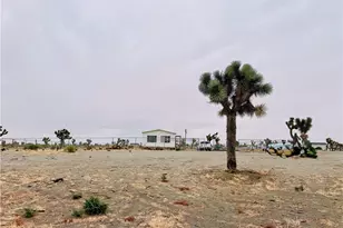 12452 Golden View, Pinon Hills, CA 92372 - Photo 1