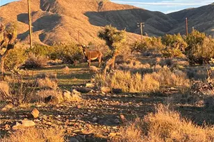20240 Juniper, Apple Valley, CA 92308 - Photo 25