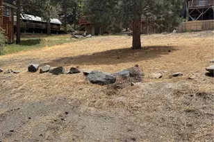 999 Buckthorn Rd, Wrightwood, CA 92397 - Photo 1