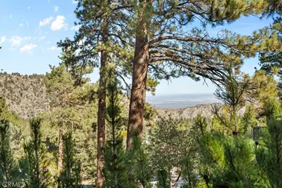 1764 Ash, Wrightwood, CA 92397 - Photo 41
