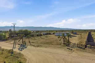 11878 Pacific Rd, Phelan, CA 92371 - Photo 5