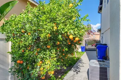 31271 Moss, Mentone, CA 92359 - Photo 7