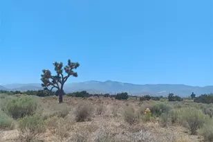 0 Yucca Terrace Rd, Phelan, CA 92371 - Photo 1