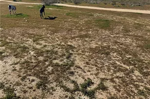 0 0, Hinkley, CA 92347 - Photo 1