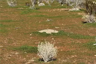 0 0, Acton, CA 93510 - Photo 1