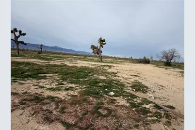 14650 Manada, Phelan, CA 92371 - Photo 3