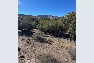 0 Sky Line Drive, Pinon Hills, CA 92372 - Photo 9