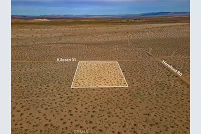 123 Kiloran St, Newberry Springs, CA 92365 - Photo 7