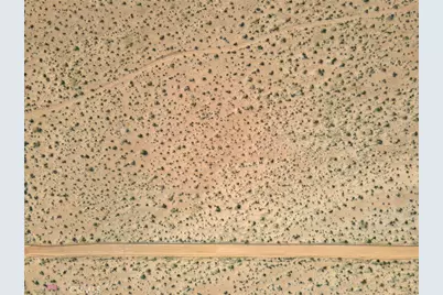 123 Kiloran St, Newberry Springs, CA 92365 - Photo 19