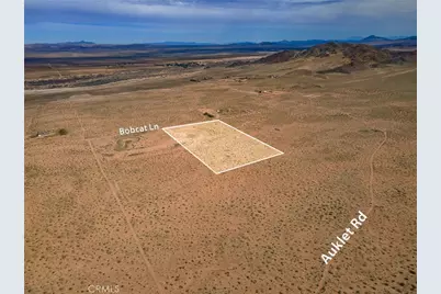 123 Bobcat Lane, Newberry Springs, CA 92365 - Photo 11