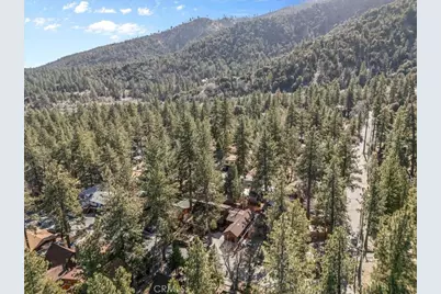 1631 Linnet, Wrightwood, CA 92397 - Photo 41