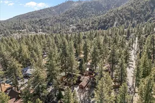 1631 Linnet, Wrightwood, CA 92397 - Photo 39