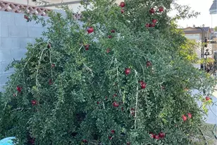 313 Broadway, Barstow, CA 92311 - Photo 23