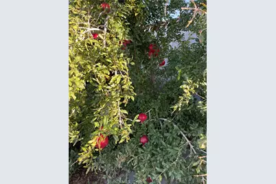 313 Broadway, Barstow, CA 92311 - Photo 25