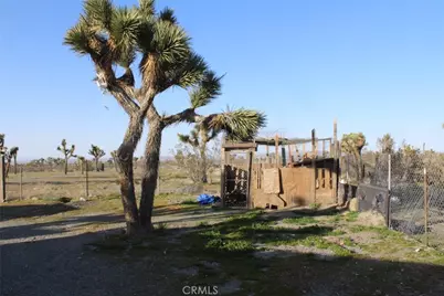 12543 Buckwheat, Phelan, CA 92371 - Photo 19